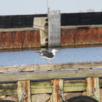 30. Oktober 2014 -273