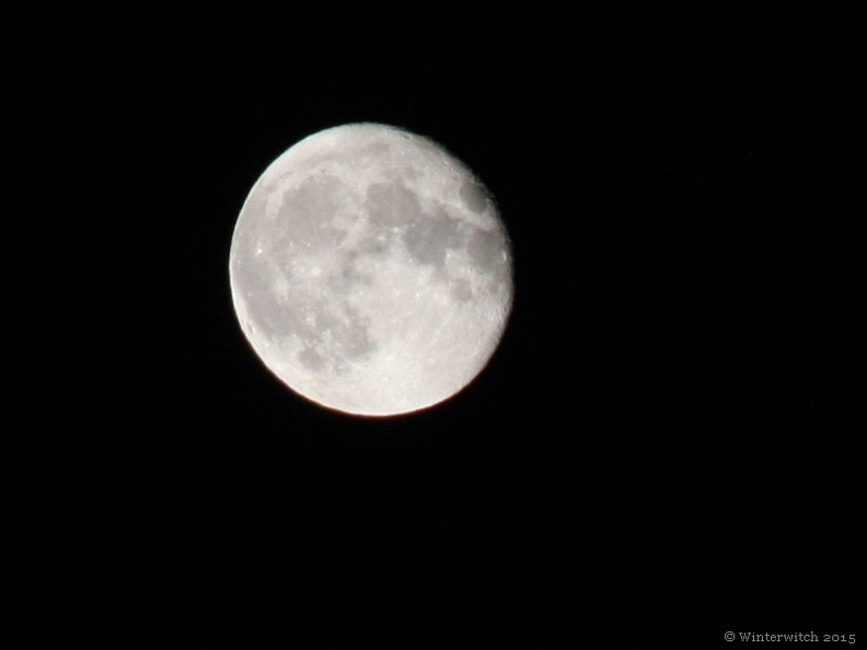 KW 40 Full Moon.jpg