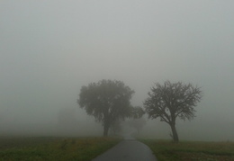 Weiler im Nebel