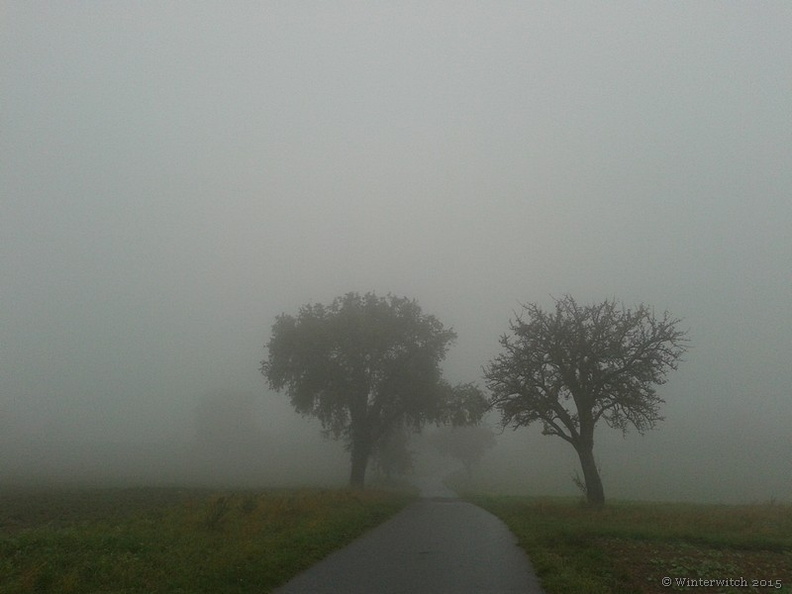 KW 42 - Fog.jpg