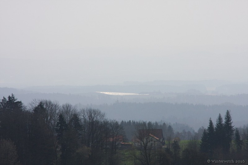 Bodensee April - 41 - Höchsten.jpg