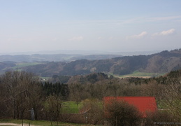 Bodensee April - 44 - Höchsten