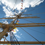 27 Viking in Göteborg