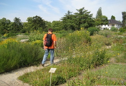 5 - Botanischer Garten Berlin 2009