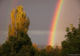 KW 41 - Rainbow - Weiler