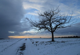 KW 2 - Winter landscape
