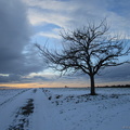 KW 2 - Winter landscape.JPG