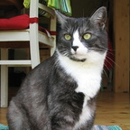 Frøken Smilla, 16.3.1998-25.3.2012