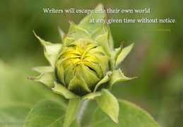 Writers will escape